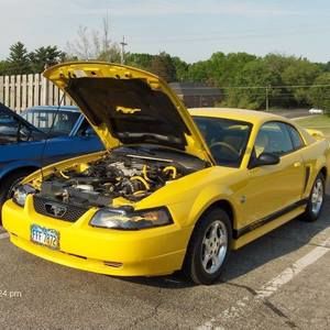 Meet your Posher, Diane